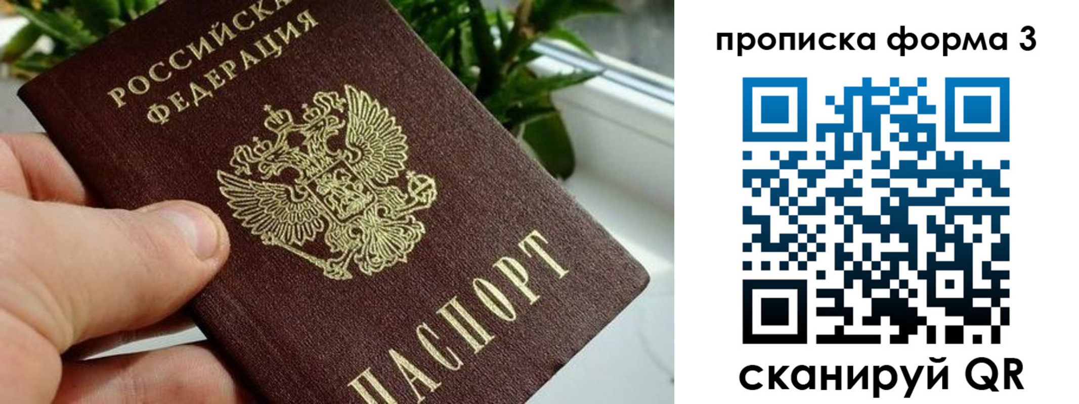 прописка паспорт в Щёкино